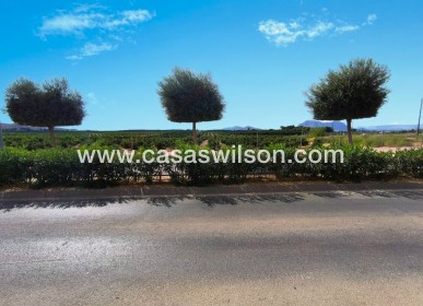 Sale - Appartement - Algorfa