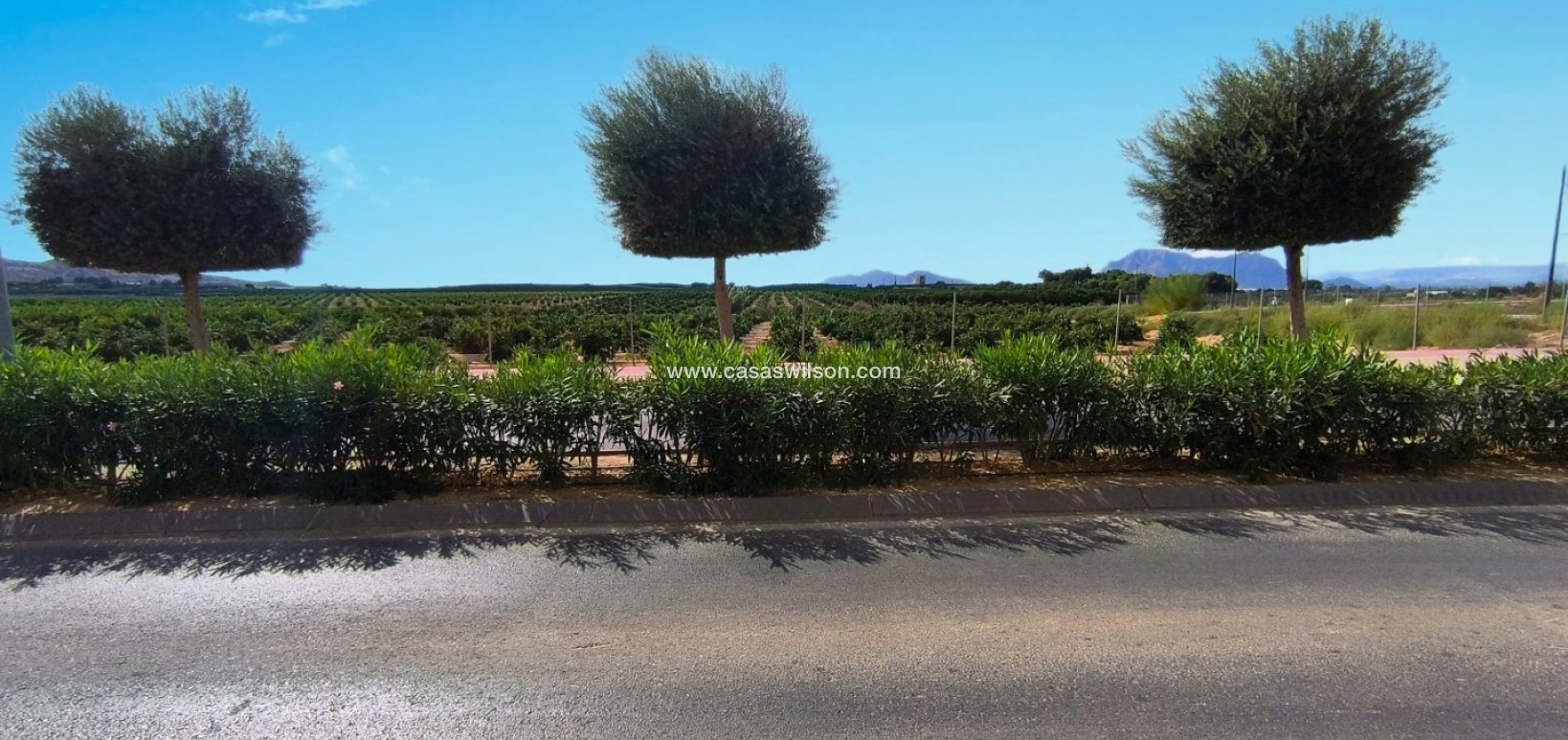 Sale - Appartement - Algorfa