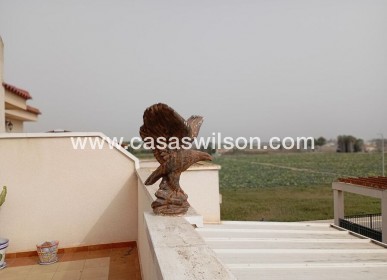 Sale - Apartment - Daya Vieja