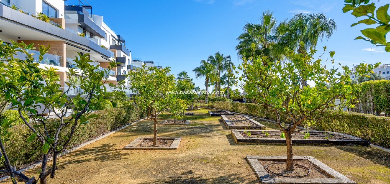 Venta - Apartamento - Villamartin - Villamartín