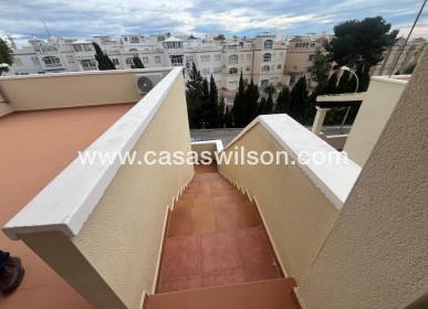 Venta - Apartamento - San Miguel de Salinas - Las Filipinas