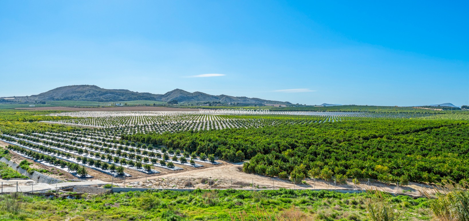 Sale - Appartement - Algorfa - Inland