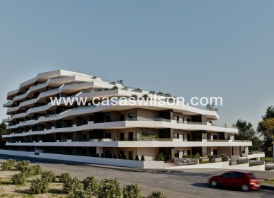 New Build - Apartment - San Miguel de Salinas - Pueblo
