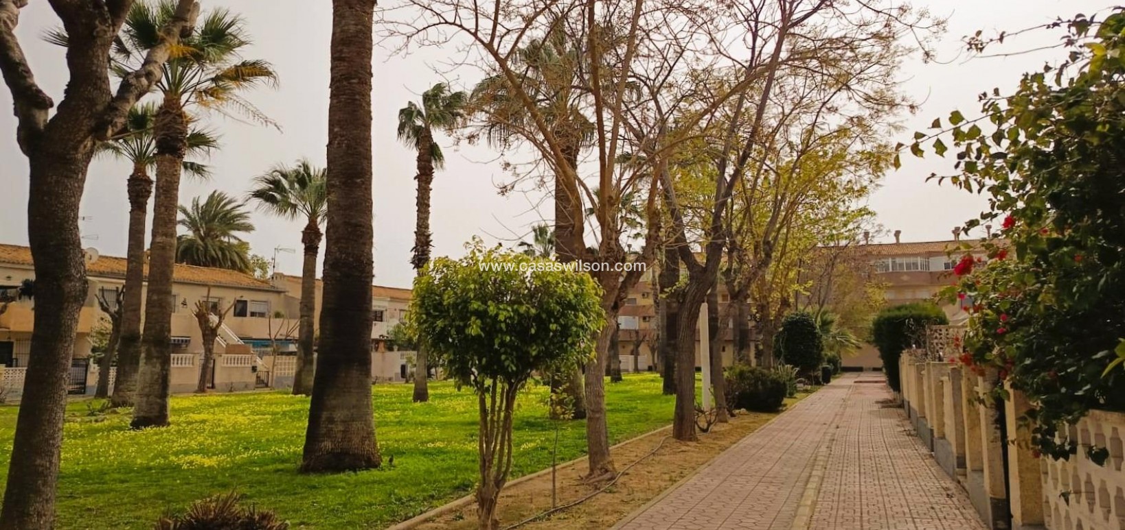 Sale - Apartment - Orihuela Costa - Costa Blanca