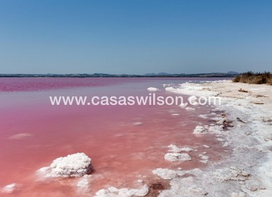 Sale - Apartment - Torrevieja - Centro - Muelle Pesquero