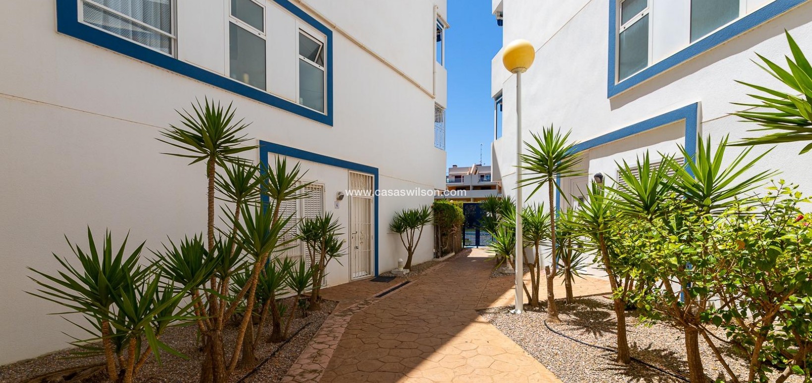 Sale - Appartement - Orihuela Costa