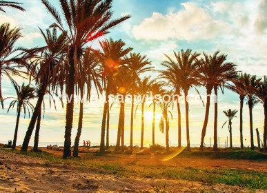 Sale - Appartement - Orihuela Costa