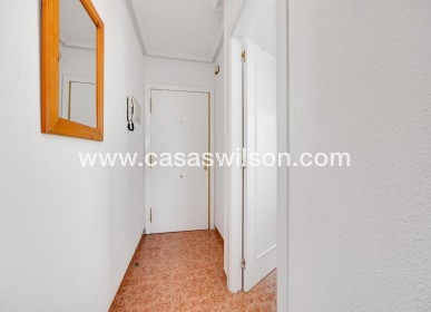 Venta - Apartamento - Torrevieja - Centro