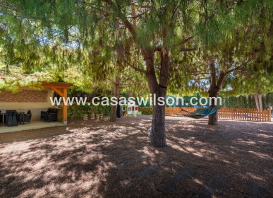 Venta - Chalet - Ciudad Quesada - Doña pepa