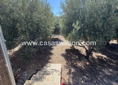 Sale - Country Property/Finca - Albatera - Inland