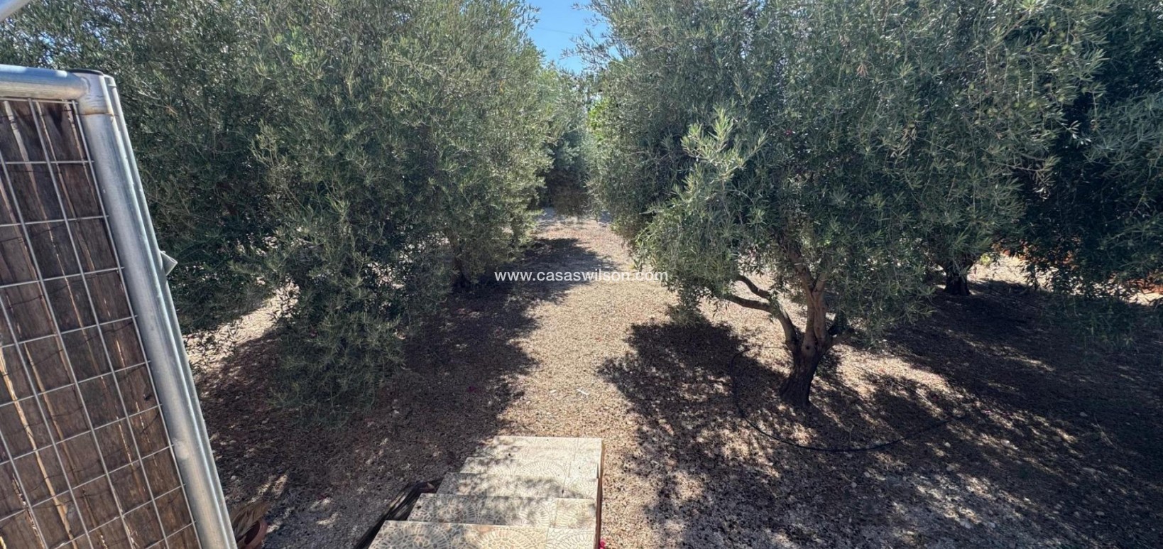 Sale - Country Property/Finca - Albatera - Inland