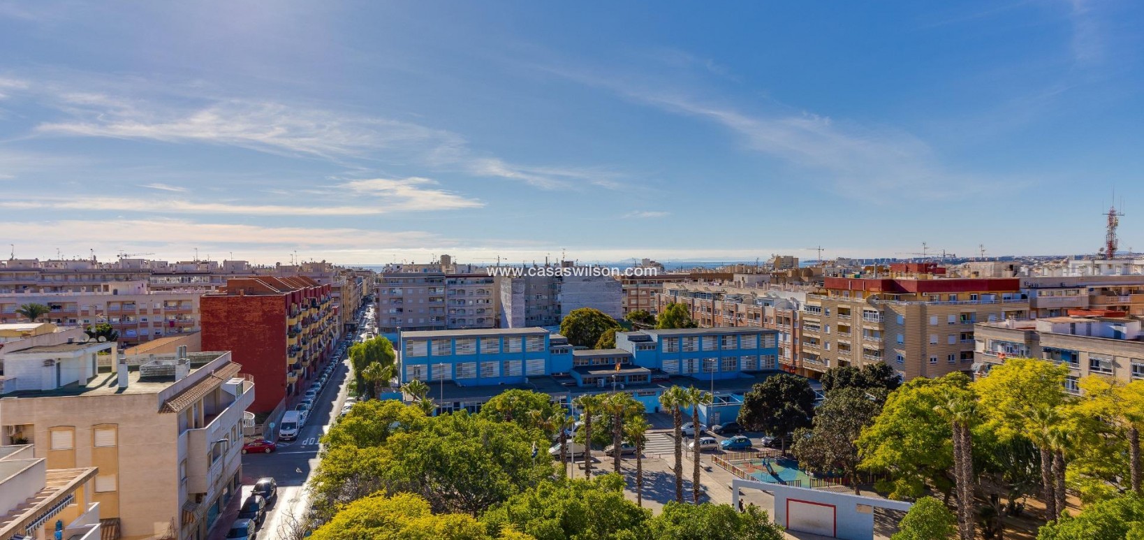 Sale - Apartment - Torrevieja - Estacion De Autobuses