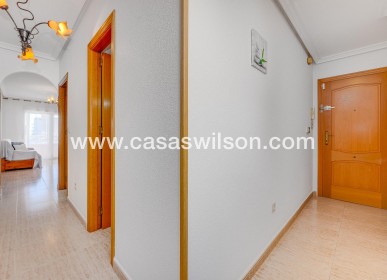 Sale - Apartment - Torrevieja - Estacion De Autobuses
