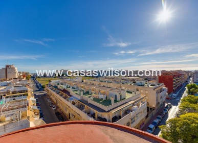 Sale - Apartment - Torrevieja - Estacion De Autobuses