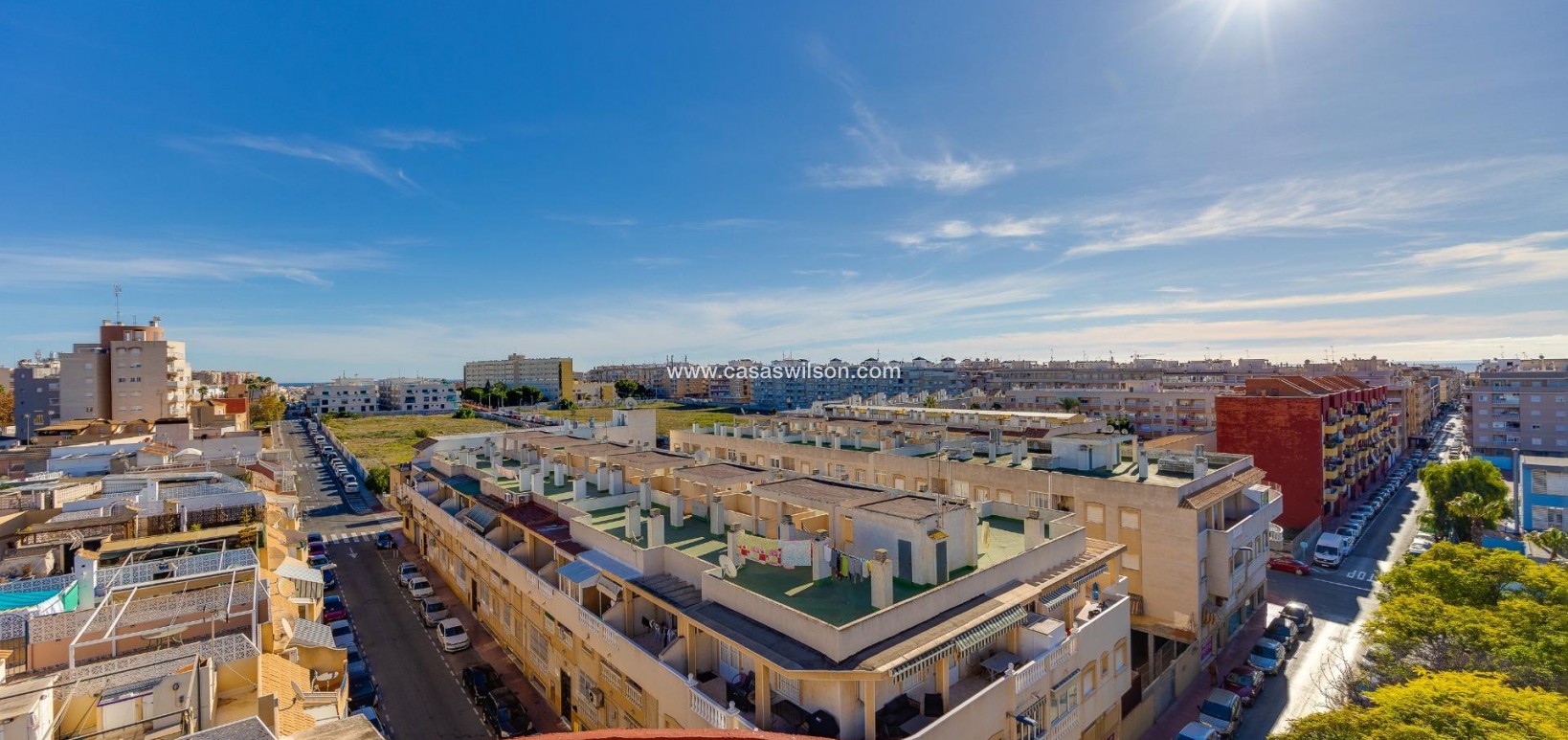 Sale - Apartment - Torrevieja - Estacion De Autobuses