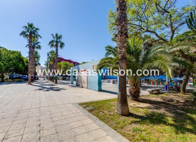 Sale - Apartment - Torrevieja - Estacion De Autobuses