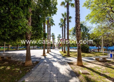 Sale - Apartment - Torrevieja - Estacion De Autobuses