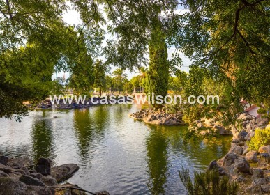 Sale - Apartment - Torrevieja - Estacion De Autobuses