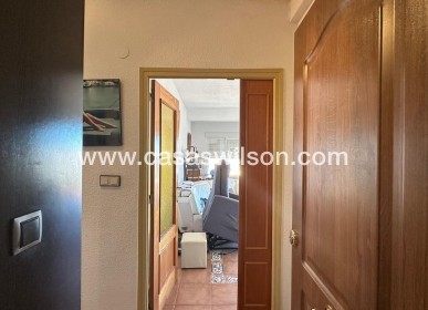 Sale - Apartment - Torrevieja - Estacion De Autobuses