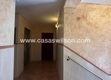 Sale - Apartment - Torrevieja - Estacion De Autobuses