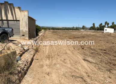 Sale - Plot of Land - San Miguel de Salinas - San Miguel Salinas