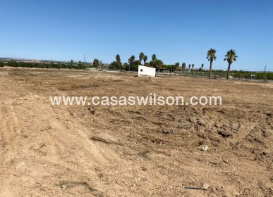 Sale - Plot of Land - San Miguel de Salinas - San Miguel Salinas