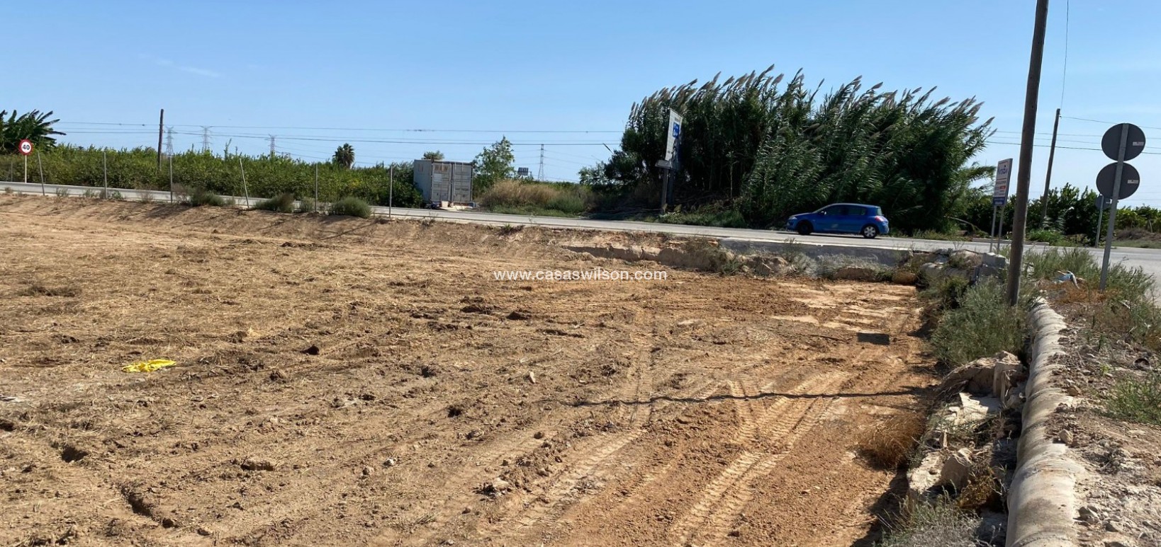 Sale - Plot of Land - San Miguel de Salinas - San Miguel Salinas