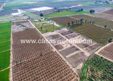 Sale - Country Property - Albatera