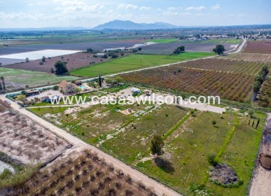 Sale - Country Property - Albatera