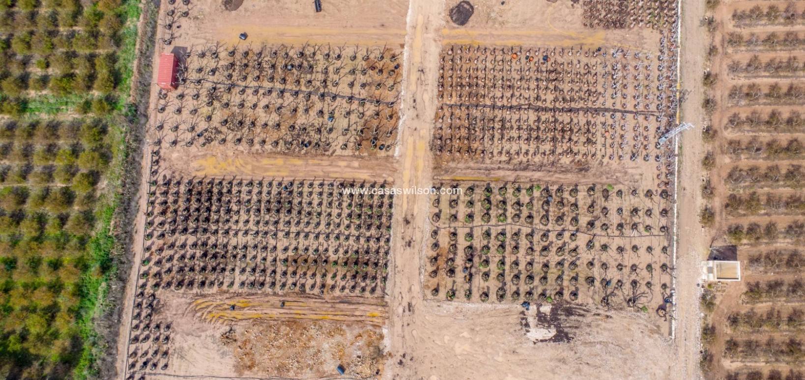 Sale - Country Property - Albatera