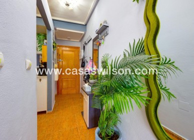 Venta - Apartamento - Torrevieja - Centro