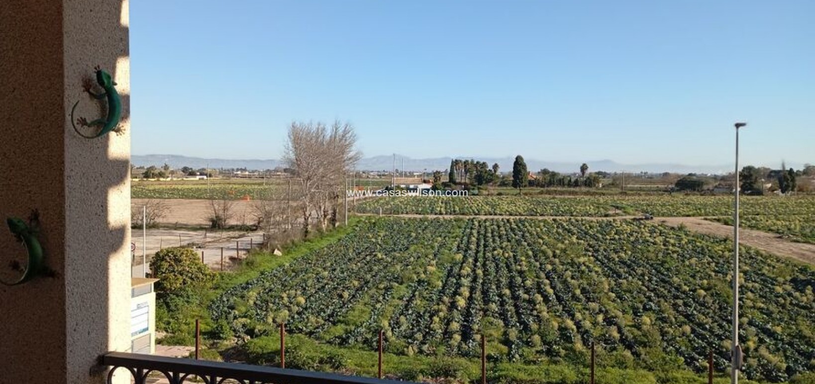 Sale - Appartement - Daya Vieja