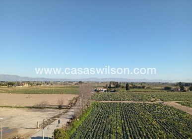 Sale - Appartement - Daya Vieja