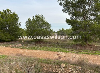 Sale - Bungalow - Torrevieja - La Siesta - El Salado - Torreta