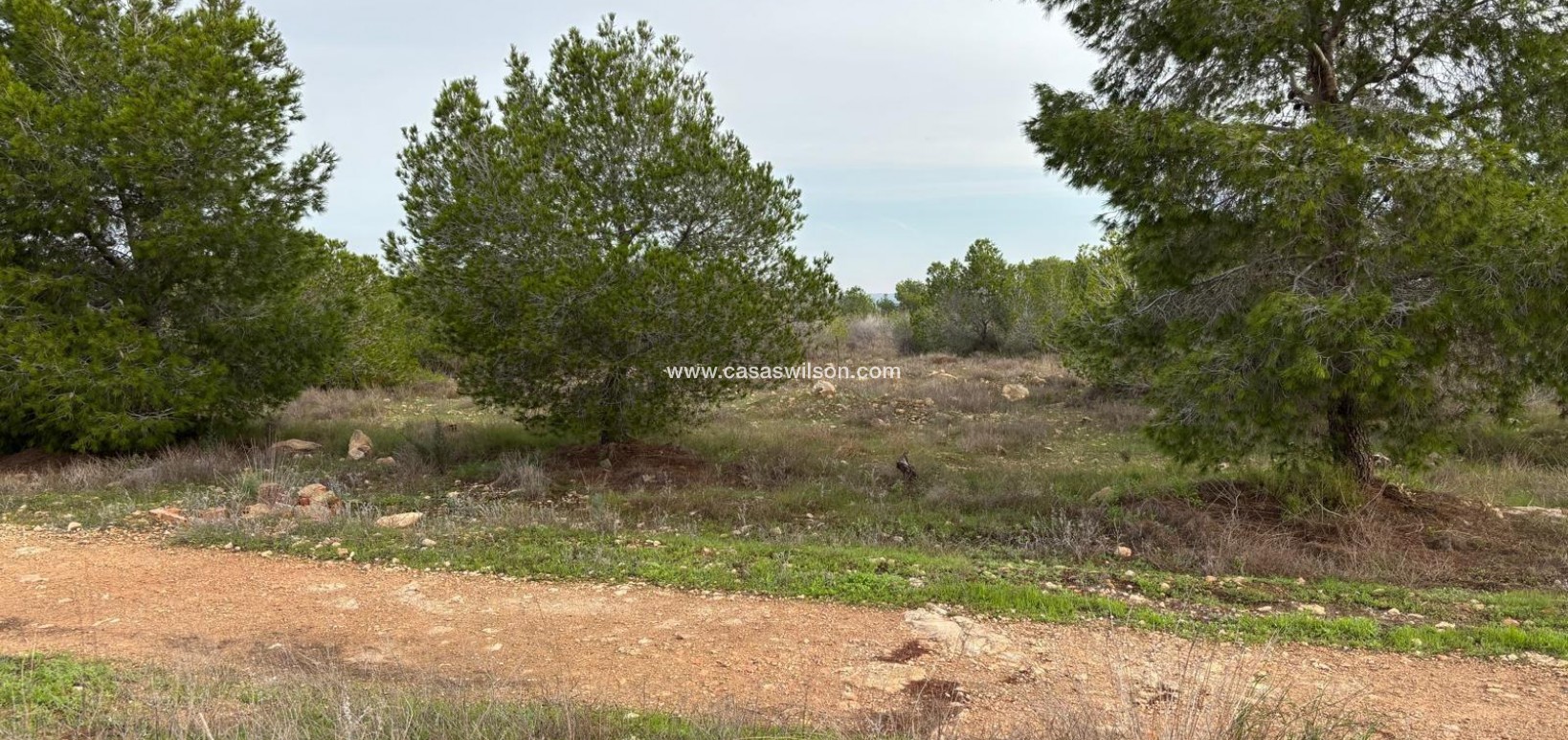 Sale - Bungalow - Torrevieja - La Siesta - El Salado - Torreta