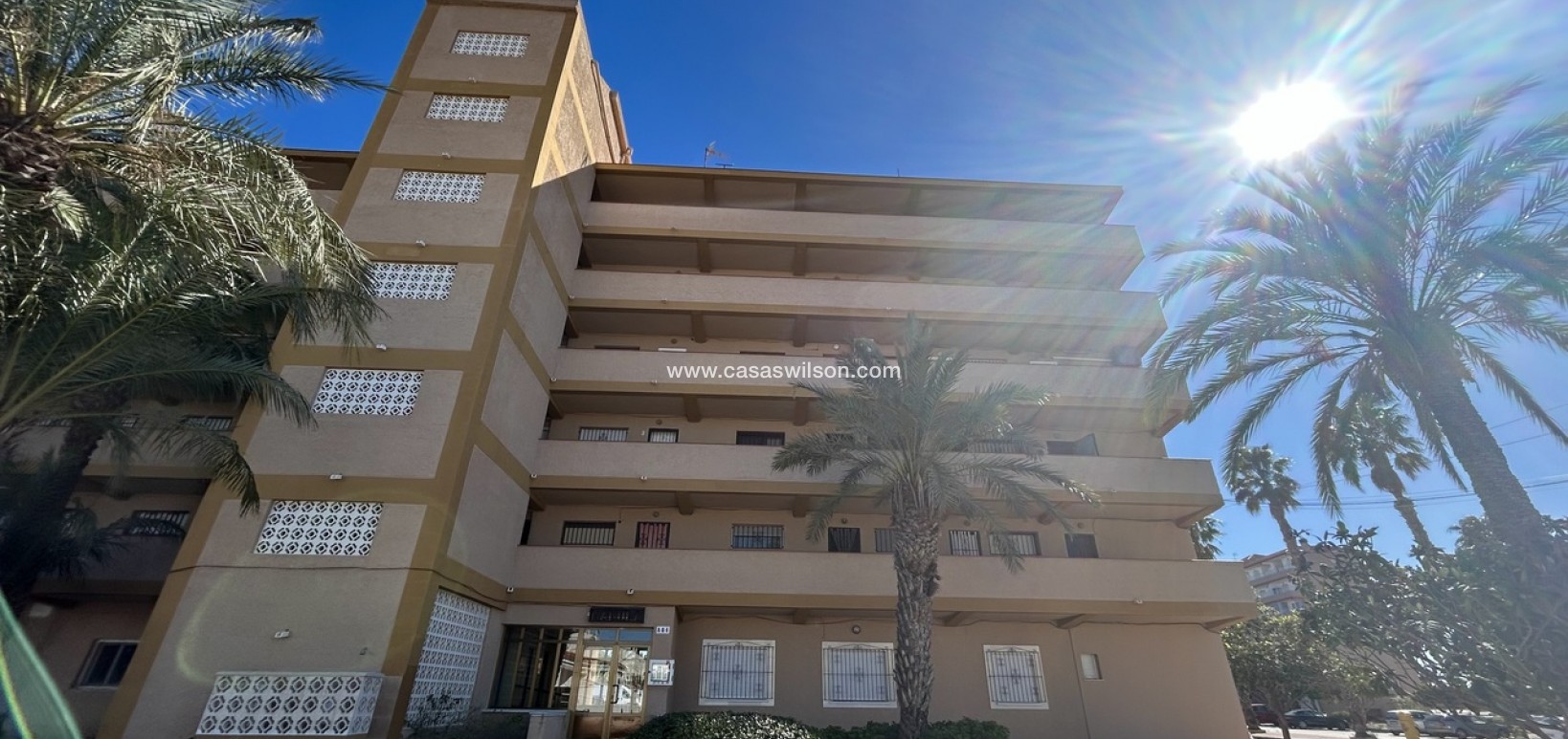 Sale - Apartment - Guardamar del Segura - Costa Blanca