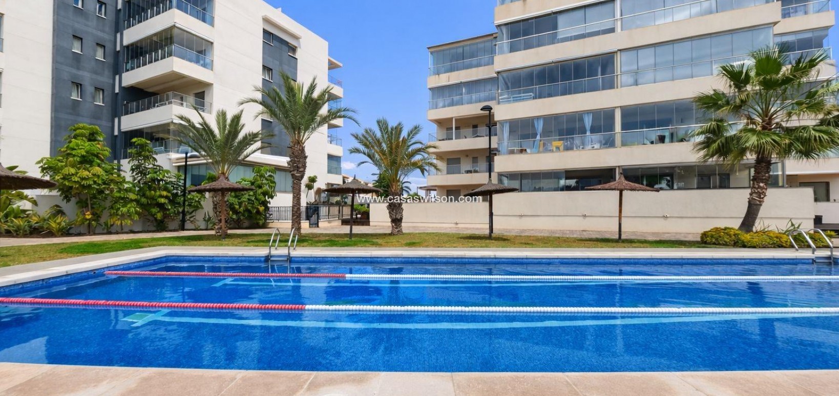 Sale - Apartment - Orihuela Costa - Villamartín