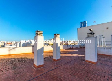 Sale - Apartment - Torrevieja - Costa Blanca