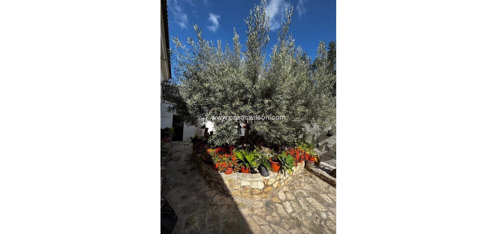 Sale - Townhouse - Benejúzar - Comunidad Valenciana