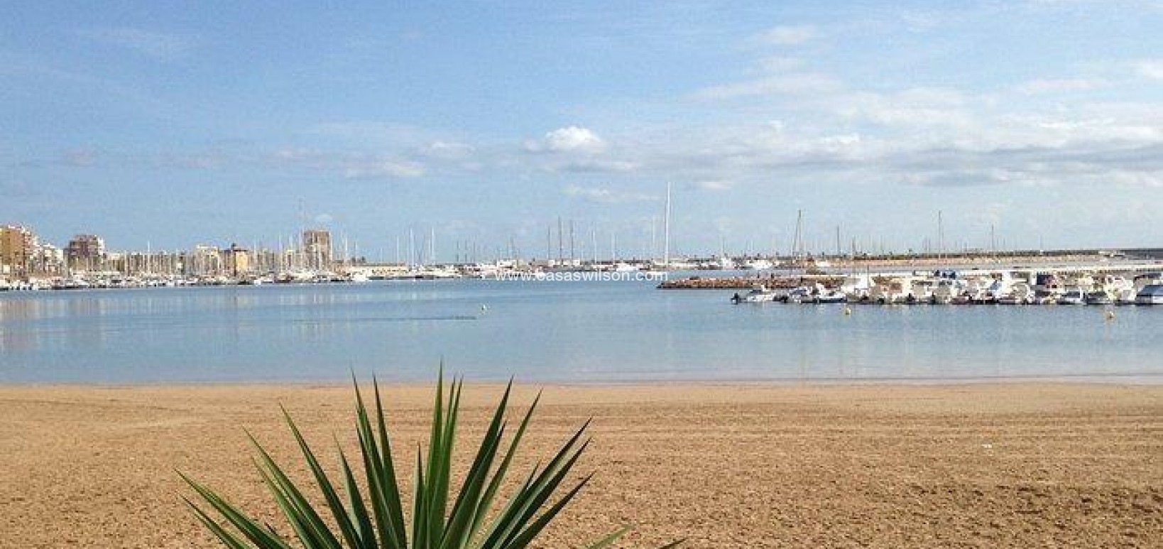 Sale - Apartment - Torrevieja - Acequion