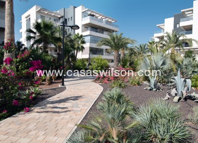 Sale - Appartement - Orihuela Costa - Los Dolses