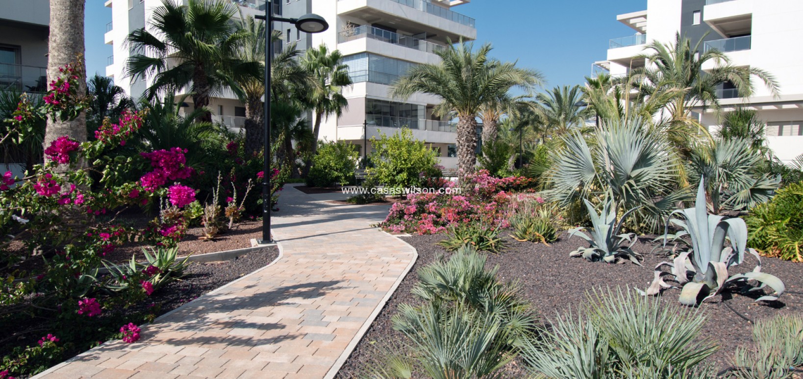 Sale - Appartement - Orihuela Costa - Los Dolses