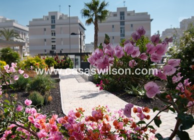 Sale - Appartement - Orihuela Costa - Los Dolses