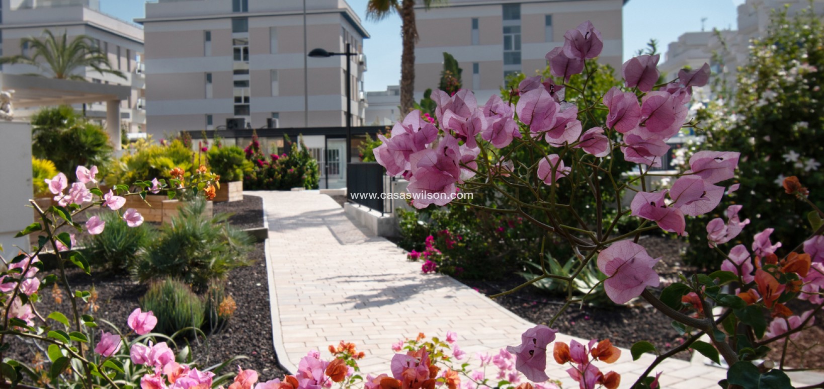 Sale - Appartement - Orihuela Costa - Los Dolses