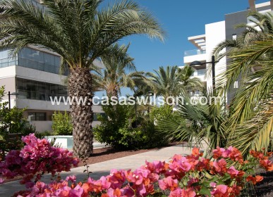 Sale - Appartement - Orihuela Costa - Los Dolses