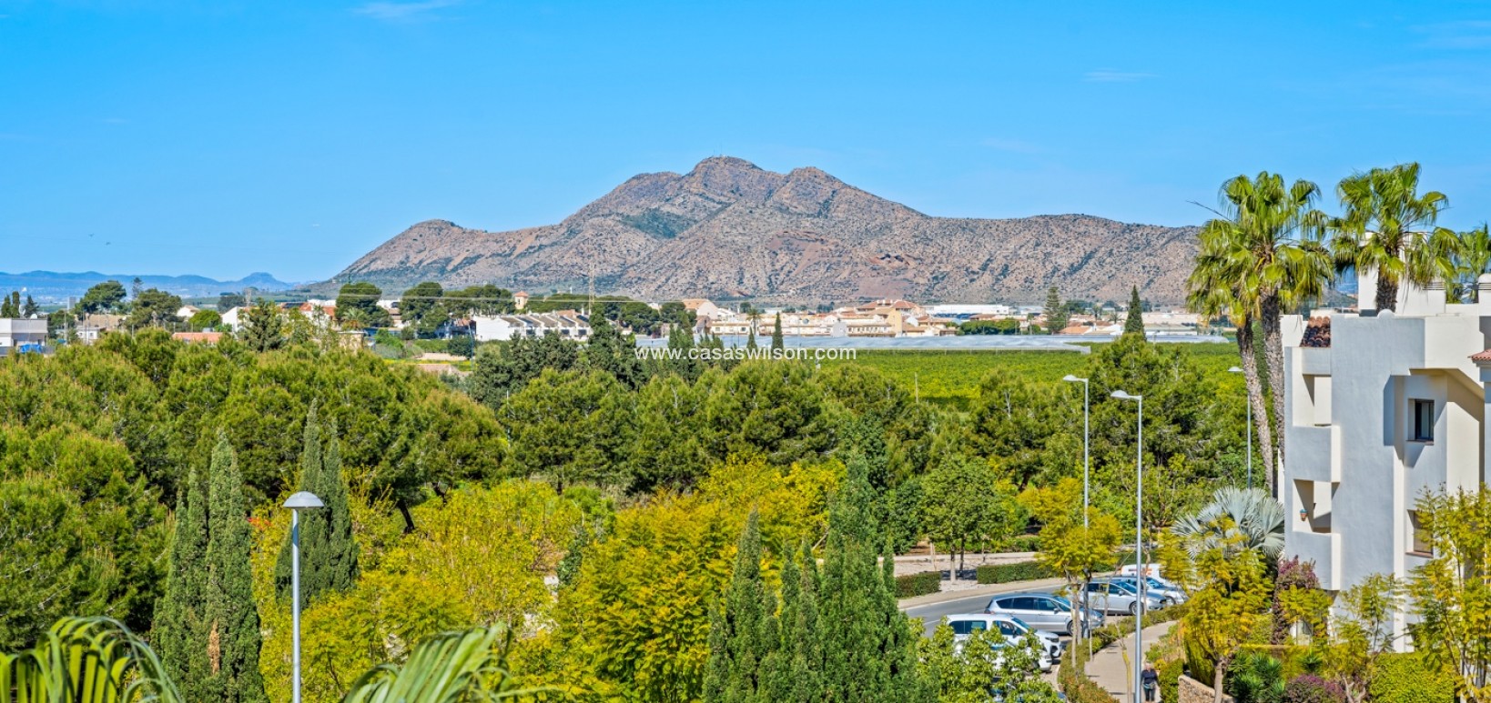 Venta - Apartamento - San Javier - Roda Golf