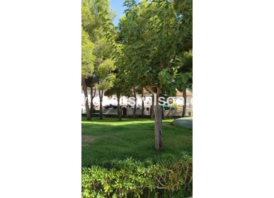 Sale - Townhouse - Torrevieja - Los Balcones