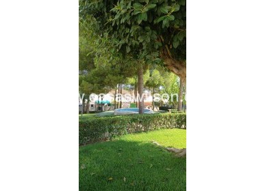 Sale - Townhouse - Torrevieja - Los Balcones