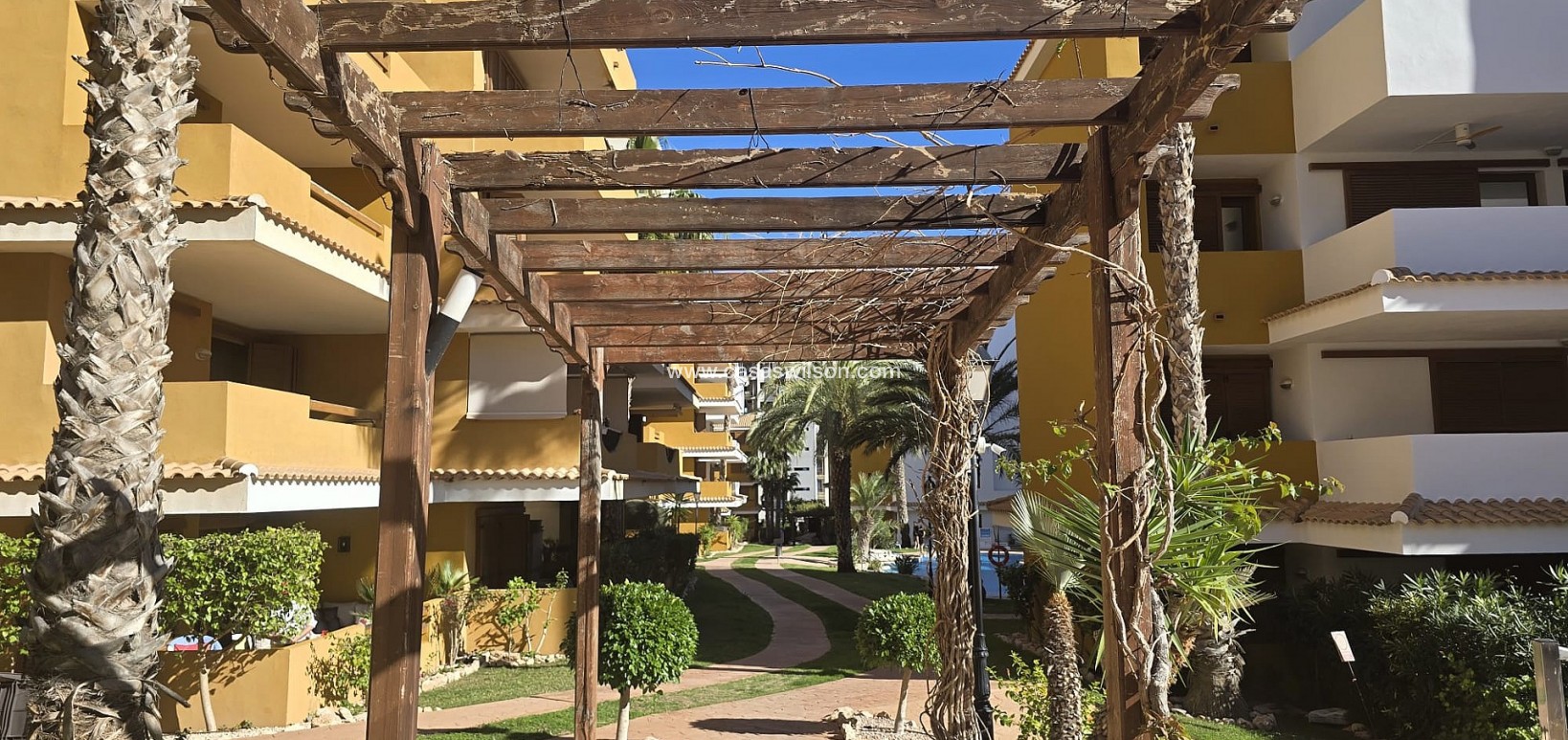 Venta - Apartamento - Punta Prima - Costa Blanca