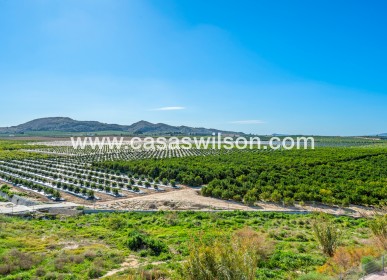 Sale - Apartment - Algorfa - Inland